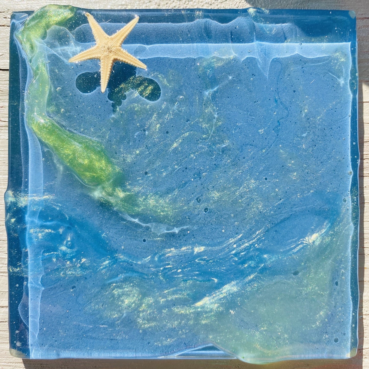 Natural Starfish Decorative Tile
